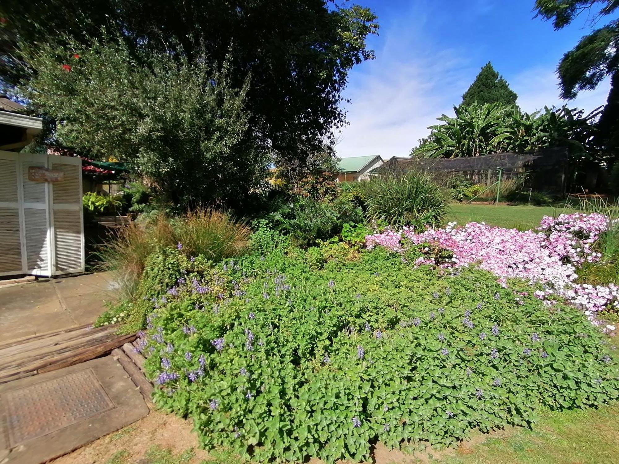 Champagne Valley Bell Park Self Catering Bed & Breakfast エクステリア 写真